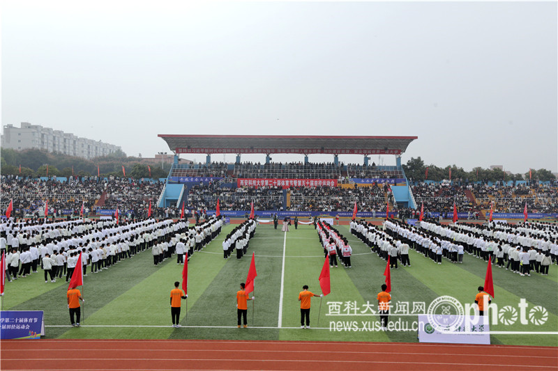 SZYL7036.JPG 原来名称也丢了