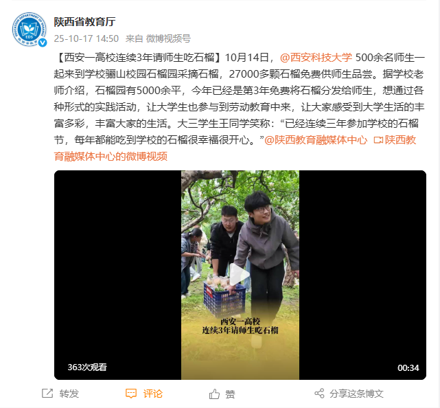 原来名称也丢了