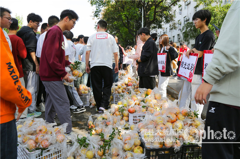 SZYL4274.JPG 原来名称也丢了
